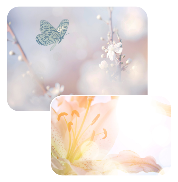 Baby Bereavement