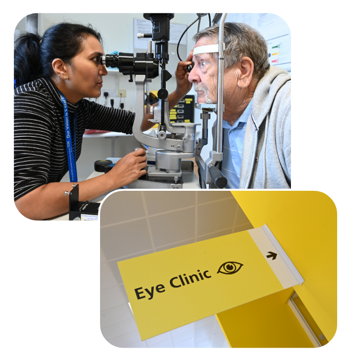 Opthalmology